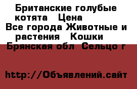 Британские голубые котята › Цена ­ 5 000 - Все города Животные и растения » Кошки   . Брянская обл.,Сельцо г.